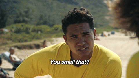You Smell That GIF by FOX TV