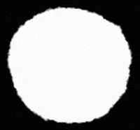hbesocial 13 13 monjas 13monjas los13kde13monjas GIF