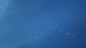 logo GIF by Laurentian University