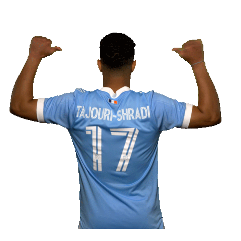 New York City Fc Reaction Sticker by NYCFC
