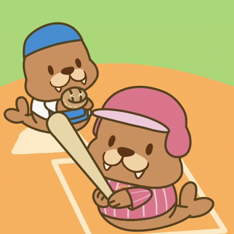 Lets Go Baseball GIF by FROSTYS