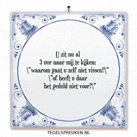 Humor Nl GIF by Tegelspreuken.nl