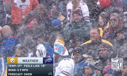 Freezing Pittsburgh Steelers GIF by NFL