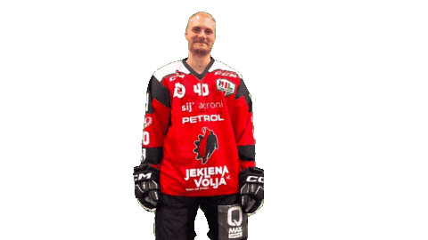 Sport Goal Sticker by HDD SIJ Acroni Jesenice