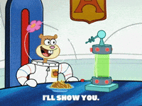 season 5 GIF by SpongeBob SquarePants