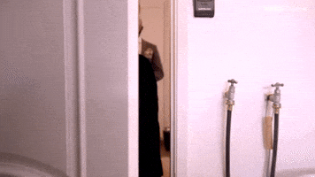 The Reveal