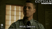 gotham GIF by Fox TV