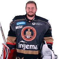 tiposshl sport hockey goalie hokej Sticker