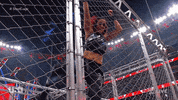 Wwe Wrestling GIF by USA Network