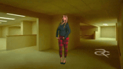 Pink Panther GIF by Respective