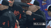 regularseason manager GIF by MLB