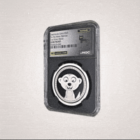 To The Moon Coin GIF by VeeFriends