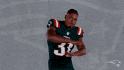 No Good Reaction GIF by New England Patriots