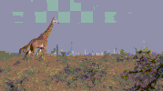 city park GIF