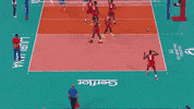 Serve Go For It GIF by Volleyball World