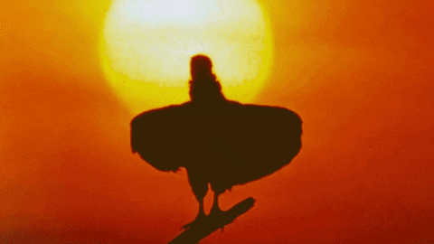 Talk Loud Music Video GIF by Polyvinyl Records