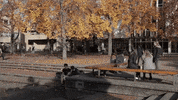 uviccampuslife students busy campus fountain GIF