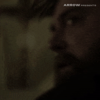 The Leech Christmas GIF by Arrow Video