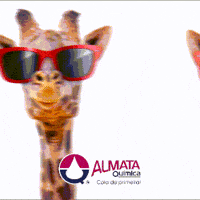 almataquimica almata almataquimica coladeprimeira GIF
