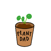 Plant Dad Pilea Sticker