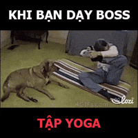 GIF by Lozi Singapore Co.
