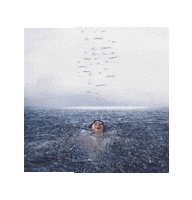 Wonder Sticker by Shawn Mendes