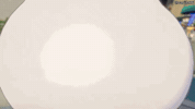 Bird Touching GIF