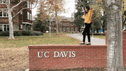 college life fun GIF by UCDavis