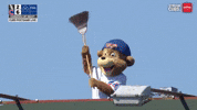 Chicago Cubs Baseball GIF by TheDreamTeam 