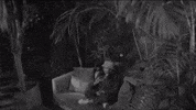Trouble In Paradise Singing GIF by Sony Music Africa