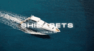 Shiba GIF by SHIBABETS.GG