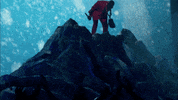 GIF by BET Awards