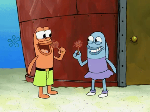season 8 GIF by SpongeBob SquarePants