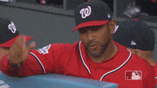 washington nationals dave GIF by MLB