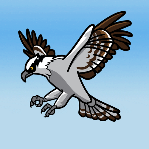 stocktonuniversity nature bird flying mascot GIF