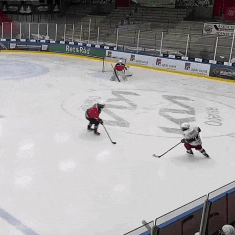 folketspuckhockeyklubb hockey tortugas hockey hit folkets puck GIF