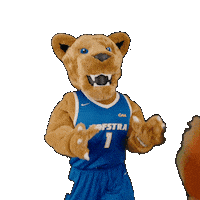 New York Basketball Sticker by Hofstra University