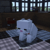 Cat Books GIF