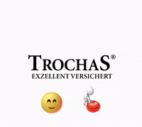 GIF by TrochaS