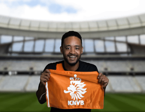 Goal Against Netherlands