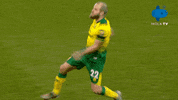 Norwichcity GIF by MolaTV