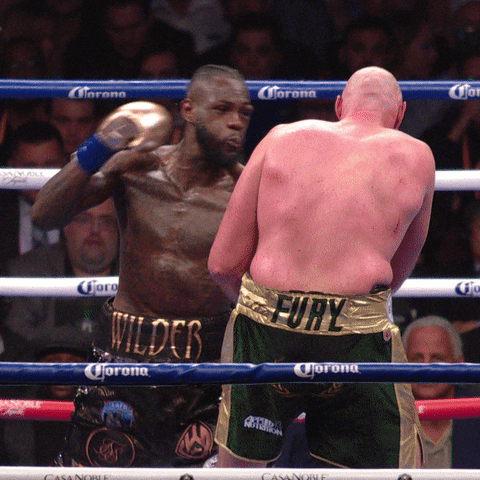 Deontay Wilder Knockout GIF by Premier Boxing Champions