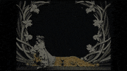 film history GIF by Digg