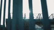 Stadium S6 GIF by Sheffield Wednesday Football Club