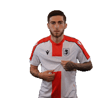 Football Celebrating Sticker by Georgia Gff