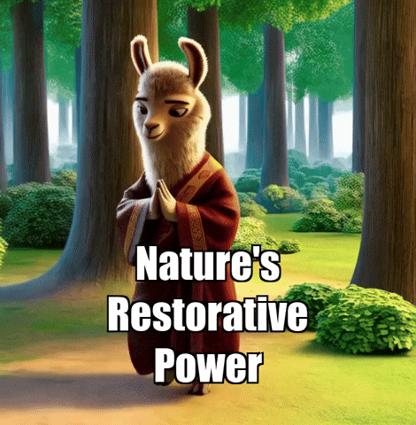 Forest Healing GIF by dalaillamazen
