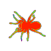 spider STICKER