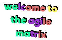 Agile Matrix Sticker by Alex Anderson