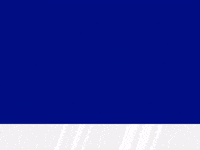Fenerbahce GIF by Socinflu
