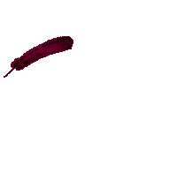 Nora Flippi Sticker by Proartist Academy